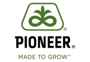 pionner