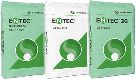 Mockup-3Bags_ES_Entec_25kgweb-464x261